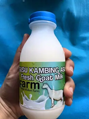Cara Minum Susu Kambing Asli (Frozen/Beku) ZMFarm