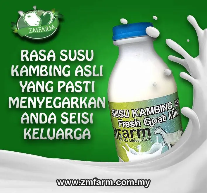 Kebaikan susu kambing dari susu lembu
