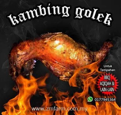 Pening kepala disebabkan memakan daging kambing?