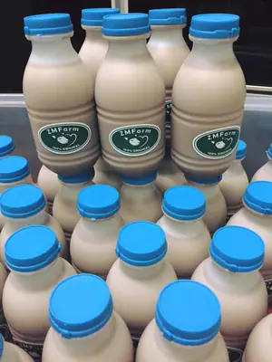 Susu Kambing Perisa Coklat Terbaru!