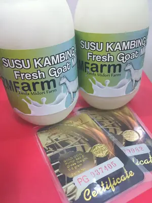 WARGA JOHOR NAK EMAS??!