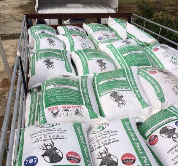Pellet Kambing ZmFarm