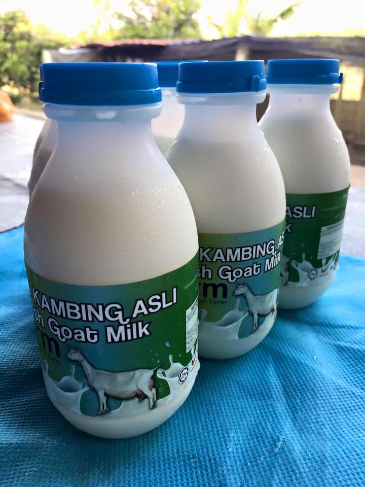susu kambing zmfarm